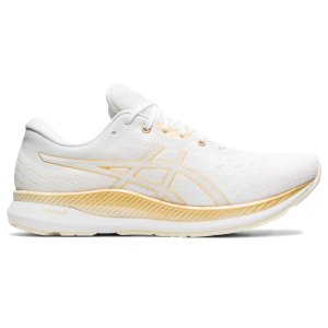 ASICS Evoride (1011A792-100)