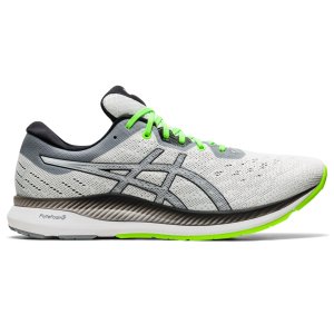 ASICS Evoride (1011A792-101)
