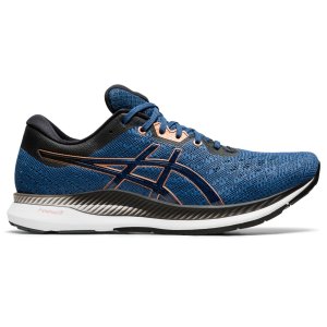 ASICS Evoride (1011A792-400)
