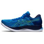 Asics Glideride 1011A817-401