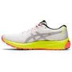 Asics Gel Cumulus 22 1011B074-100