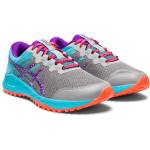 Asics Alpine XT 1012A480-020