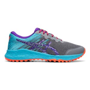 ASICS Alpine Xt (1012A480-020)