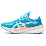 Asics Gel Blast 1012A584-400