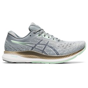 ASICS Evoride (1012A677-020)