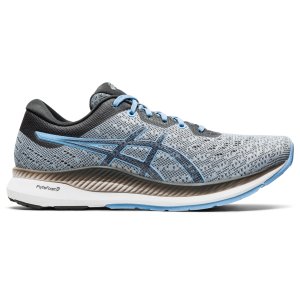 ASICS Evoride (1012A677-021)