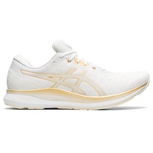 ASICS Evoride (1012A677-100)