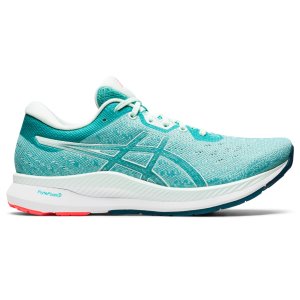 ASICS Evoride (1012A677-300)