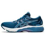 Asics GT 2000 1012A859-400