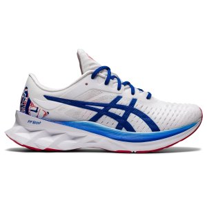 ASICS Novablast (1012A981-100)