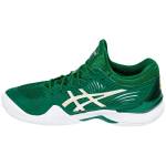 Asics Court 1041A089-301