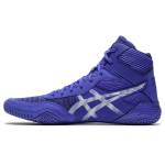ASICS sneaker 1081A029-400