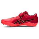 ASICS sneaker 1093A044-701