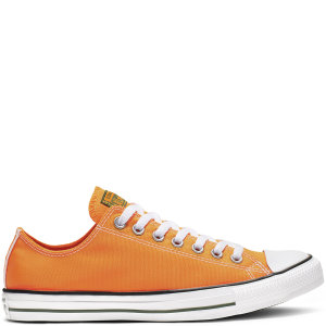 Converse Chuck Taylor All Star Summer Sport Low Top (164413C)