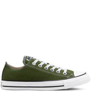 Converse Seasonal Colour Chuck Taylor All Star Low Top (166711C)