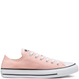 Converse Seasonal Colour Chuck Taylor All Star Low Top (167633C)