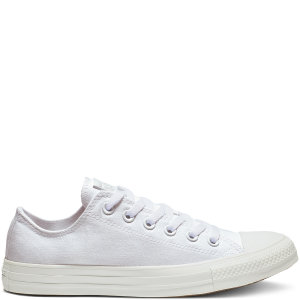 Converse Mono Colour Chuck Taylor All Star Low Top (1U647)