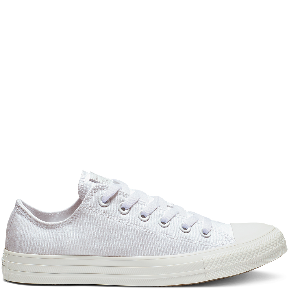 Converse Mono Colour Chuck Taylor All Star Low Top (1U647)