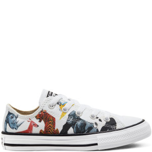 Converse Big Science Class Chuck Taylor All Star Low Top (668462C)