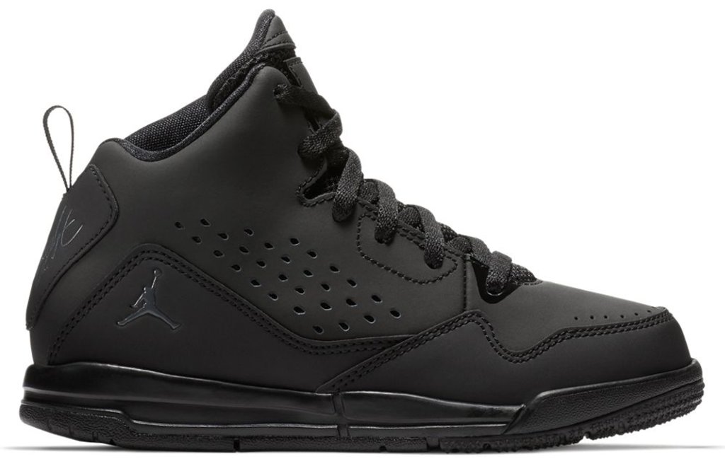 Air Jordan 3 629943-021