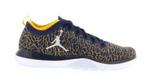 Jordan  Trainer 1 Low Michigan College Navy/White-Amarillo (845403-420)