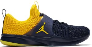 Jordan  Trainer 2 Flyknit Michigan College Navy/Amarillo-Amarillo (921210-407)