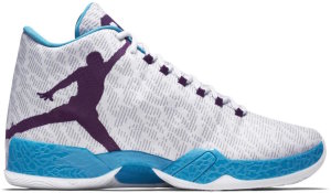 Jordan  XX9 Fengshui White/Night Purple-Blue Lagoon-Wolf Grey (822227-154)