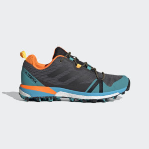 Adidas Terrex Skychaser LT Hiking Grey Four / Core Black / Hi-Res Aqua (FX0147)