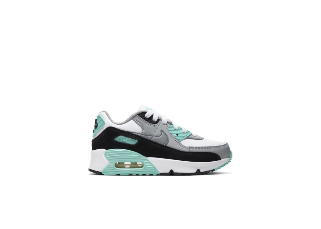 Nike Air Max 90 CD6867-102