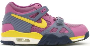 Nike  Air Trainer 3 Viotech Viotech/Dandelion-Viola-Grey Slate (679066-571)