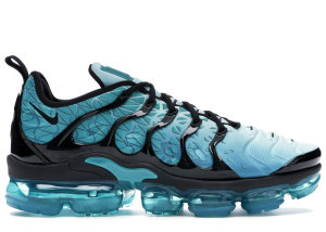 Nike Air VaporMax Plus Spirit Teal Spirit Teal/Black-Green Abyss (924453-301)