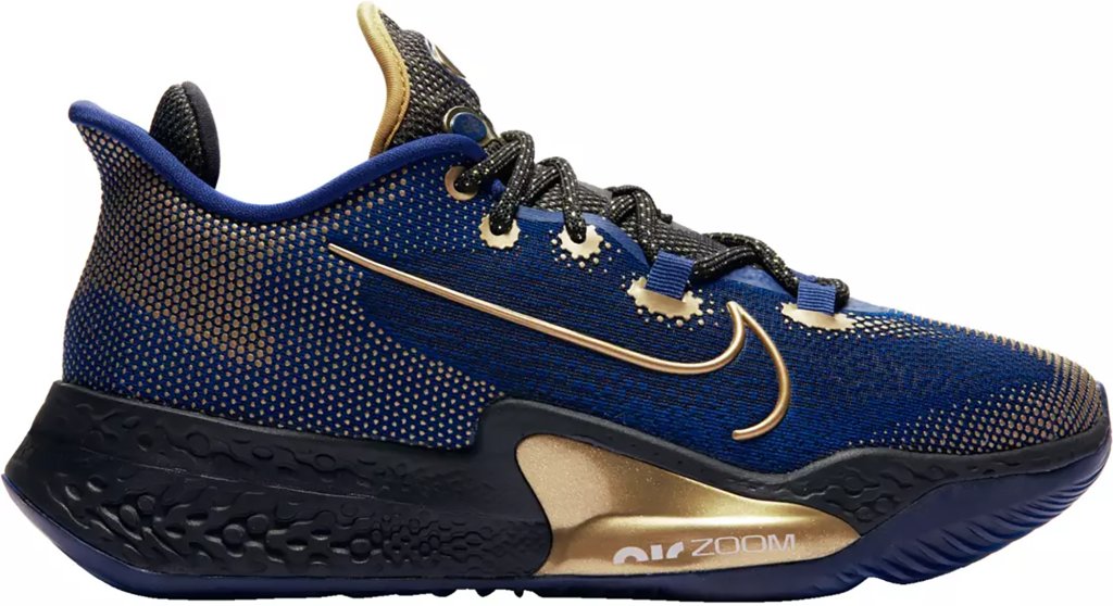 Nike Air Zoom BB NXT Blue Void Metallic Gold Blue Void/Black-Metallic Gold Coin (CK5707-400)