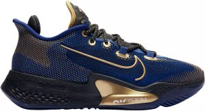 Nike  Air Zoom BB NXT Blue Void Metallic Gold Blue Void/Black-Metallic Gold Coin (CK5707-400)