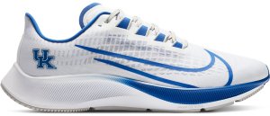 Nike  Air Zoom Pegasus 37 Kentucky White/Pure Platinum-Night Silver-Game Royal (CZ5382-100)