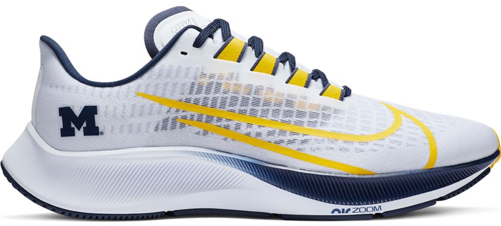 Nike Air Pegasus CZ5384-100