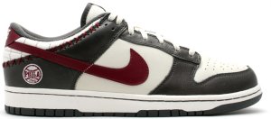 Nike Dunk Low Untold Truth Sail/Team Red-Stealth (313463-161)