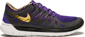 Nike Free 5.0 Doernbecher (2014) Court Purple/Metallic Gold-Black (725566-580)