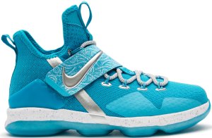 Nike LeBron 14 Ric Flair (GS) Blue Fury/Metallic Silver-Equator Blue (AA3258-404)