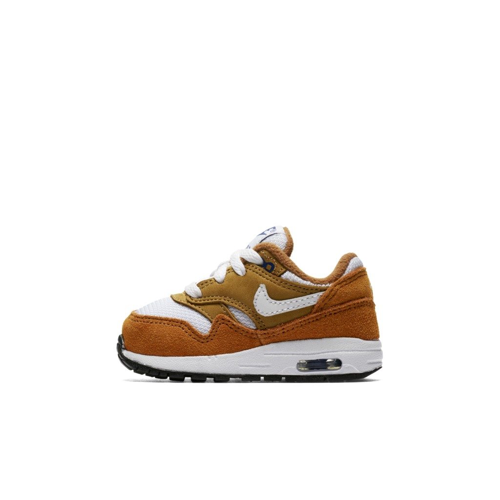 Nike Air Max 1 AT3360-700