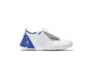 Nike Jordan ADG 2 Summit White Summit White/Hyper Royal/Atmosphere Grey (CT7812-101)