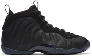 Nike Air Foamposite One Anthracite 2020 (GS) Black/Anthracite-Black (644791-014)
