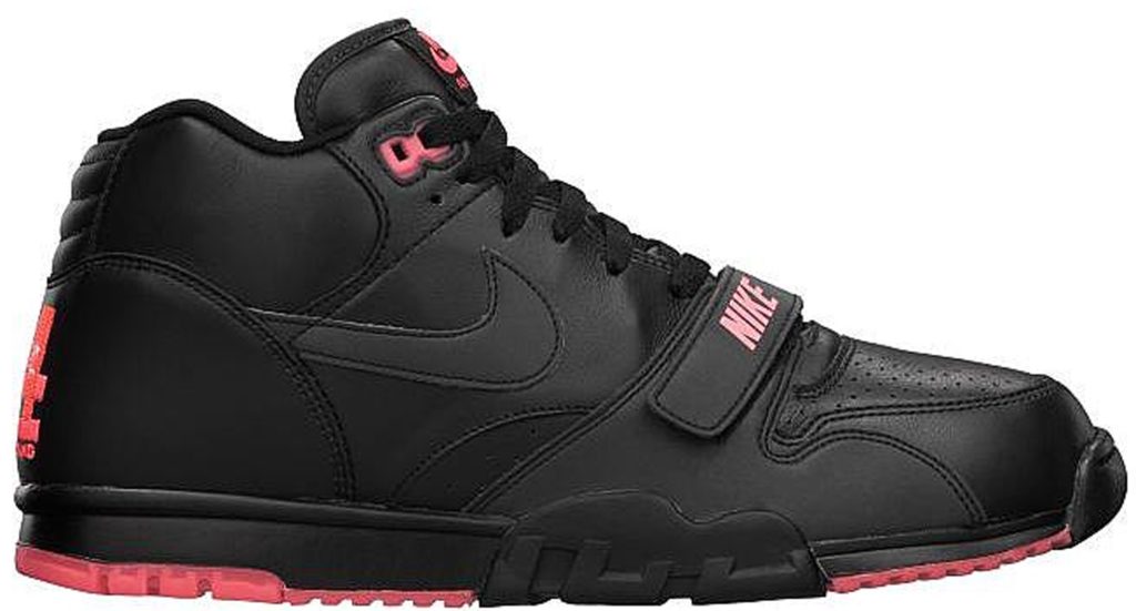 Air Jordan Trainer 1 532303-001