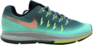 Nike Air Zoom Pegasus 33 Shield Hasta/Metallic Red Bronze (W) Hasta/Metallic Red Bronze (849567-300)