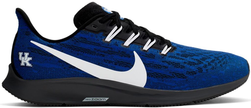 Nike Air Pegasus CI2073-400