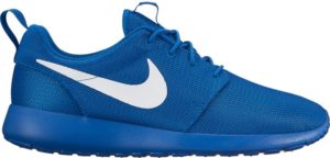 Nike  Roshe One Blue Jay  (511881-409)