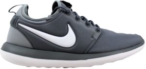 Nike  Roshe Two Cool Grey (GS) Cool Grey/White-Wolf Grey (844653-004)