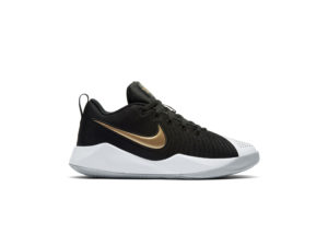Nike Team Hustle Quick 2 Black Metallic Gold (GS) Black/Light Smoke Grey/White (AT5298-010)