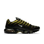 Nike Air Max Plus 852630-020