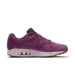 Nike Air Max 1 Premium 875844-602