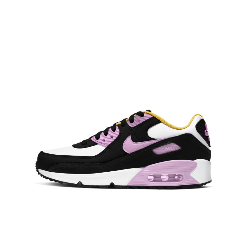 Nike Air Max 90 CD6864-007